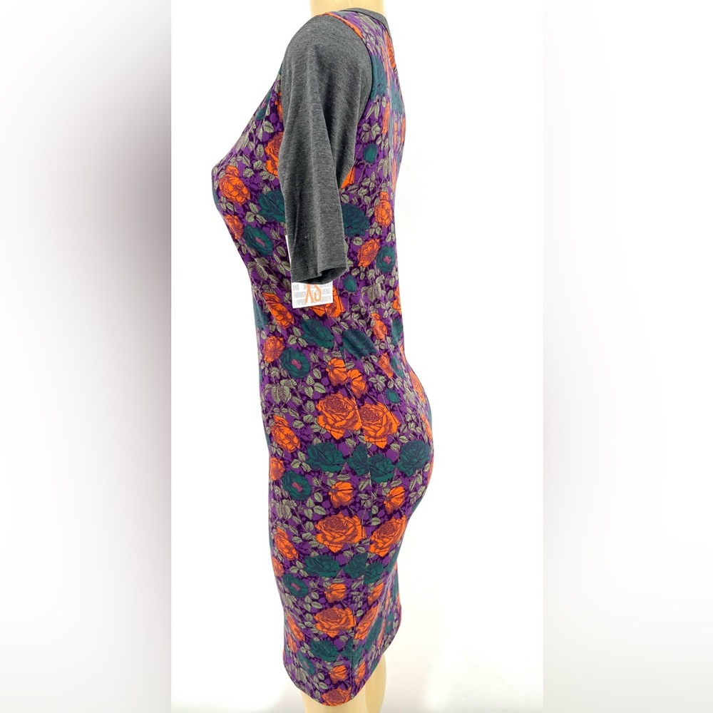 XS LulaRoe dress